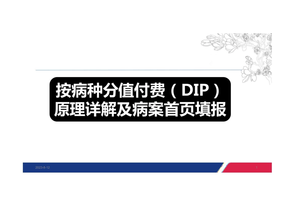 医保按病种分值付费(DIP)院内培训_第1页