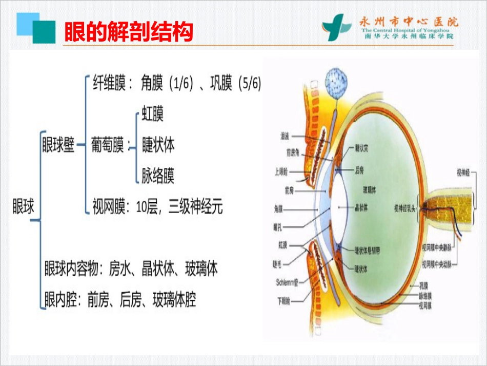 眼科常见疾病和手术ICD编码详解_第2页