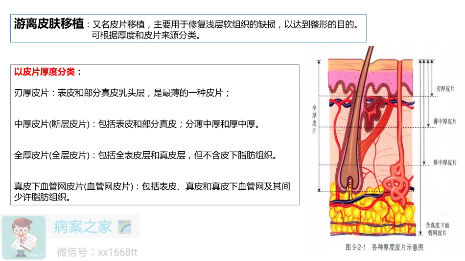 皮肤、皮瓣移植—编码要点汇总及案例解析_第3页