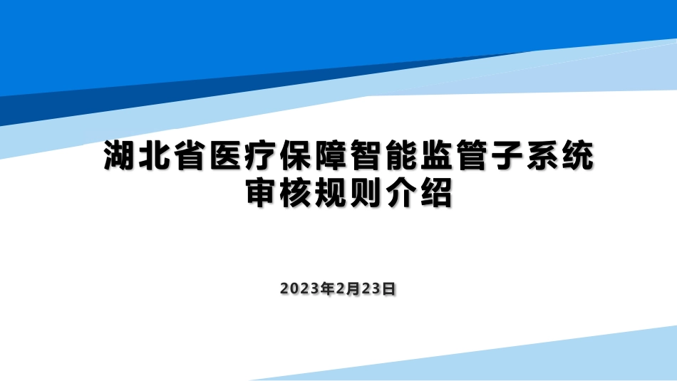 湖北省医保智能审核规则介绍（医疗机构）_第1页