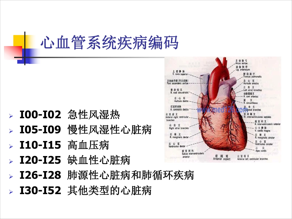 循环系统疑难疾病与手术_第3页