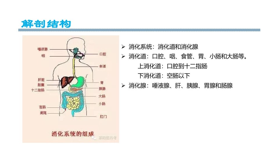 消化系统疾病编码要点_第2页