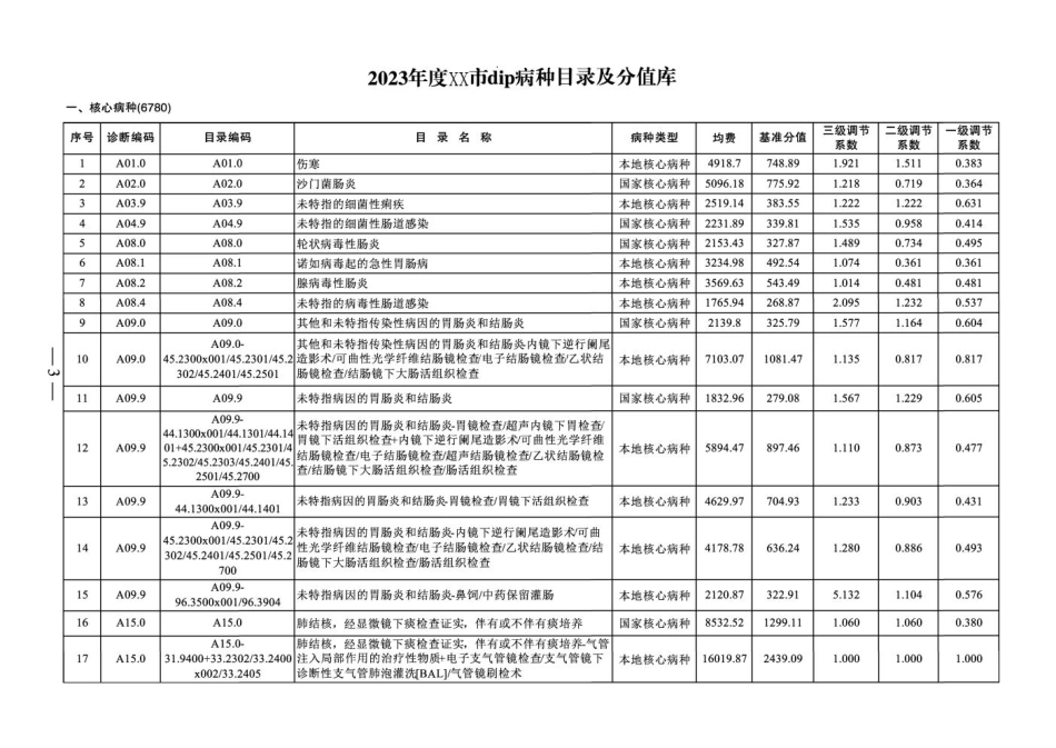 2023年度XX市dip病种日录及分值库_第1页