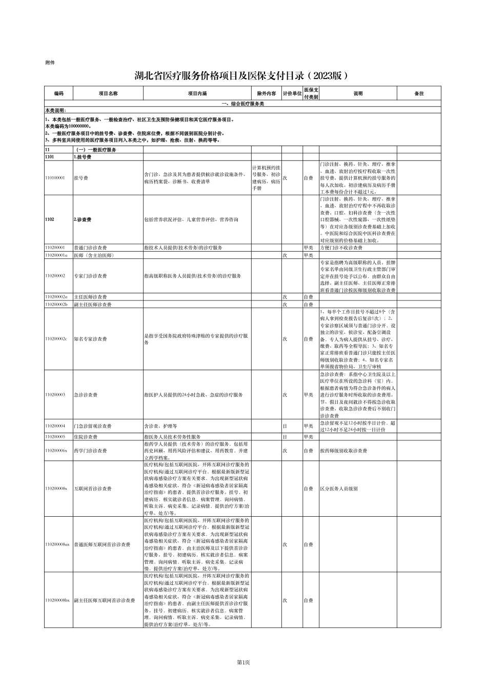 湖北省医疗服务价格项目及医保支付目录（2023版）_第1页