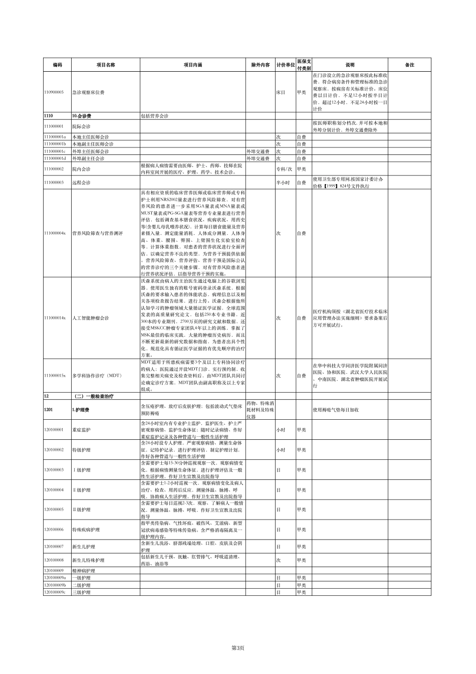 湖北省医疗服务价格项目及医保支付目录（2023版）_第3页