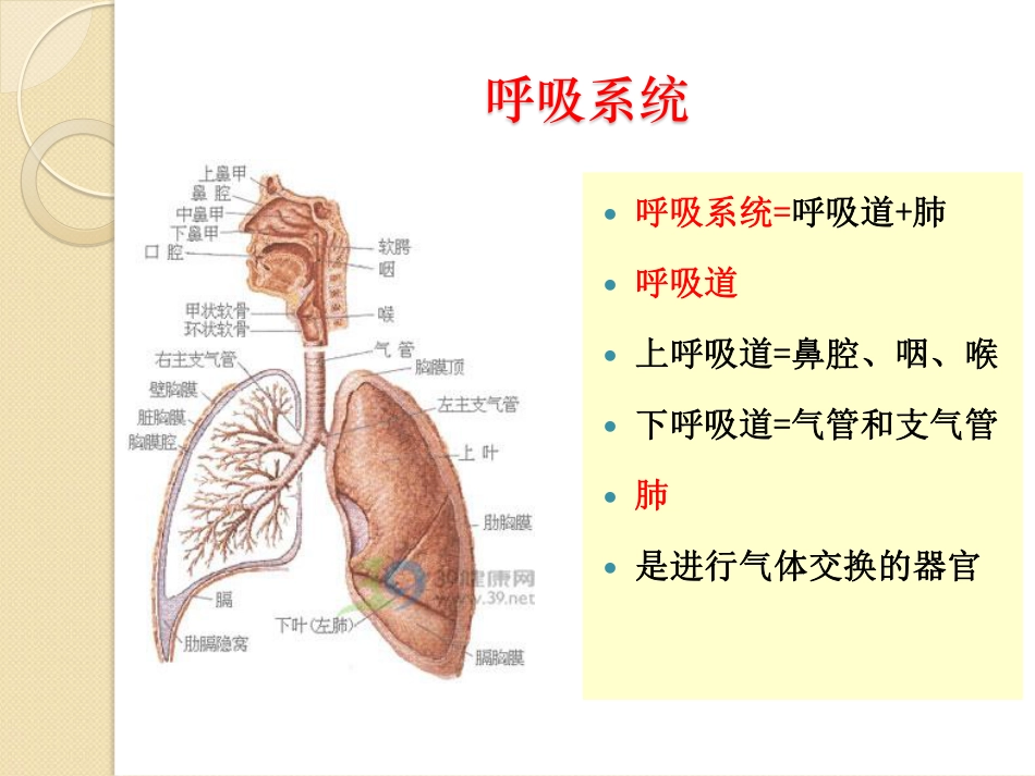 肺系病症的中医辨证论治_第2页