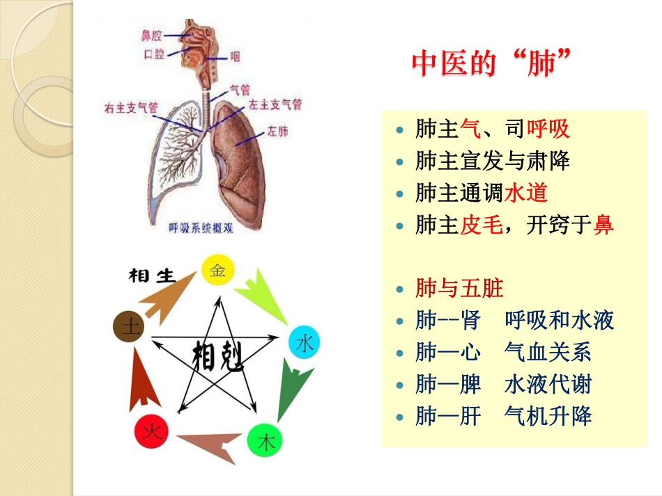 肺系病症的中医辨证论治_第3页