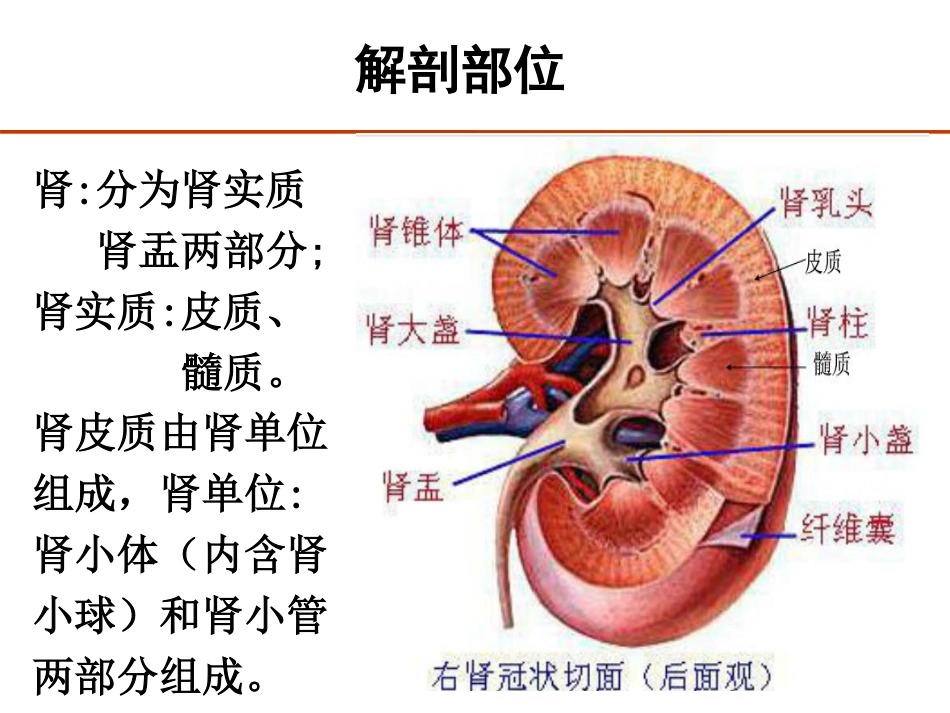 泌尿妇产手术疑难编码_第3页