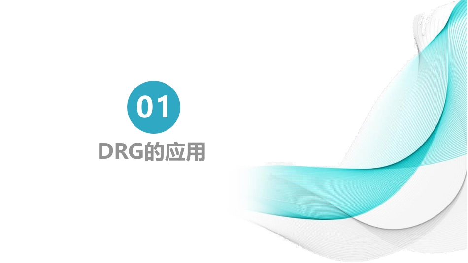 DRG应用与数据治理_第3页