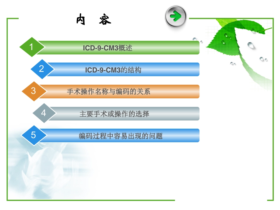 ICD-9编码方法与常见问题.pdf_第2页