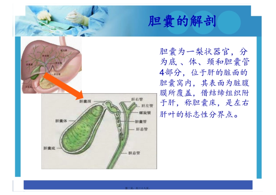 腹腔镜下保胆取石术的护理配合_第2页