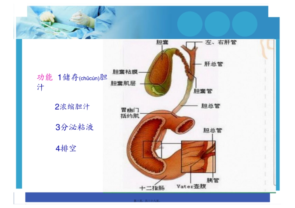 腹腔镜下保胆取石术的护理配合_第3页