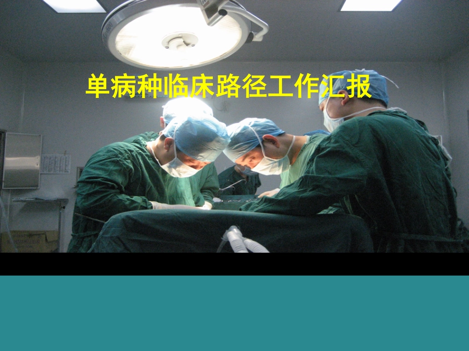 单病种临床路径工作总结.pdf_第1页