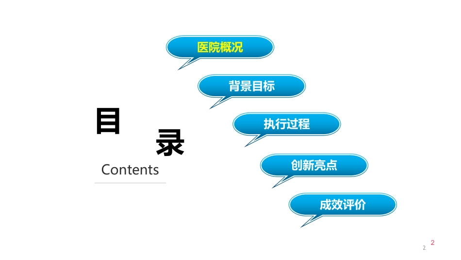 TMQ下医院用药安全管理.pdf_第2页