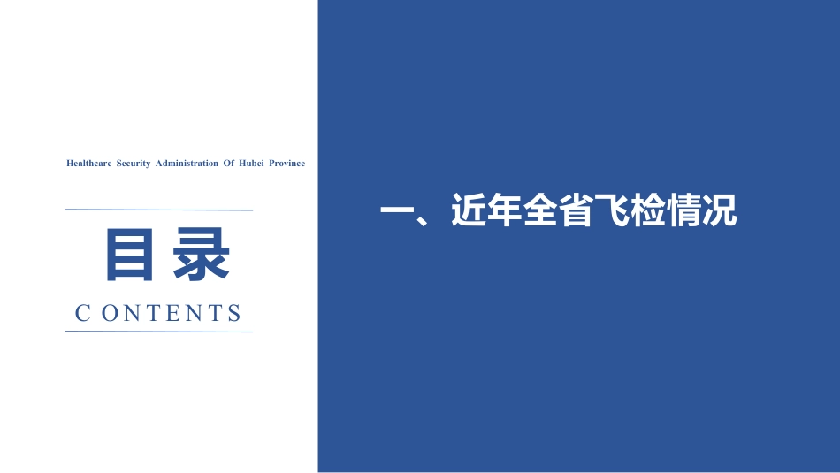 湖北省2024医保基金运行飞检方案要点_第3页