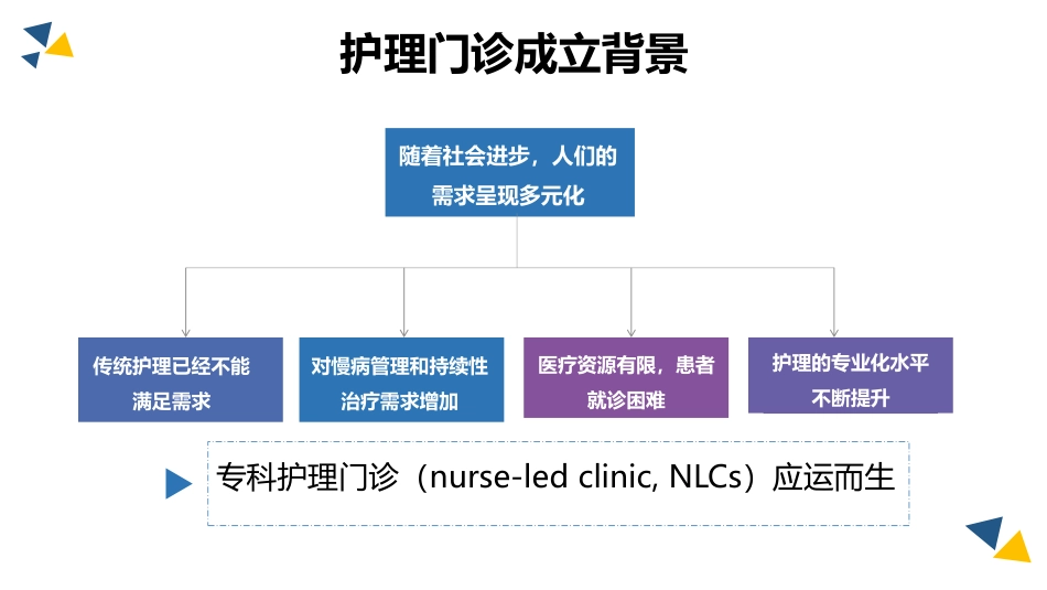 护理门诊建设与管理.pdf_第3页