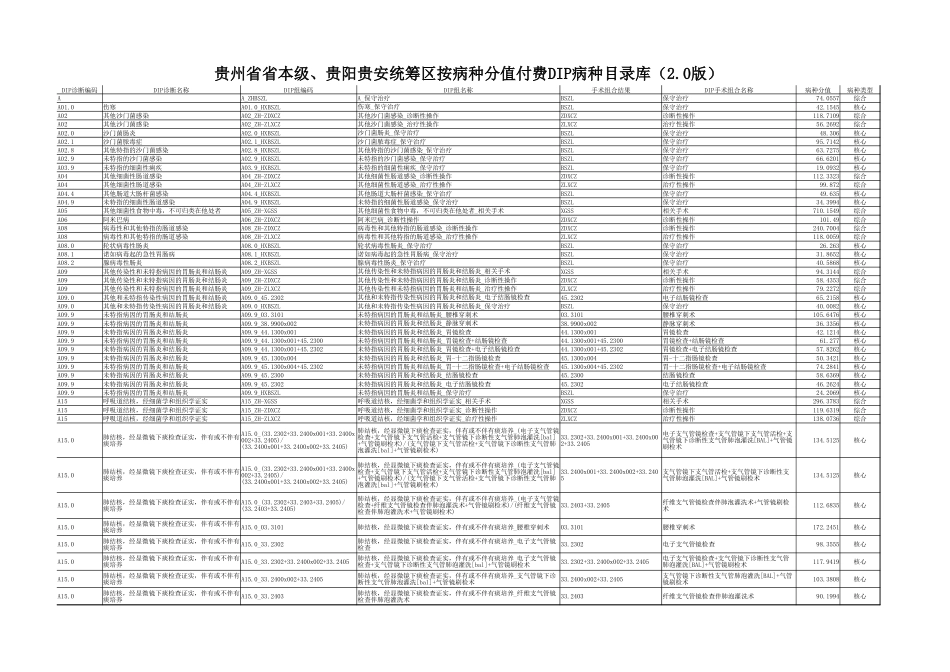 贵州省dip目录库2.0_第1页