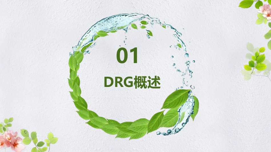 医保DRG支付与病案首页填写规范.pdf_第3页