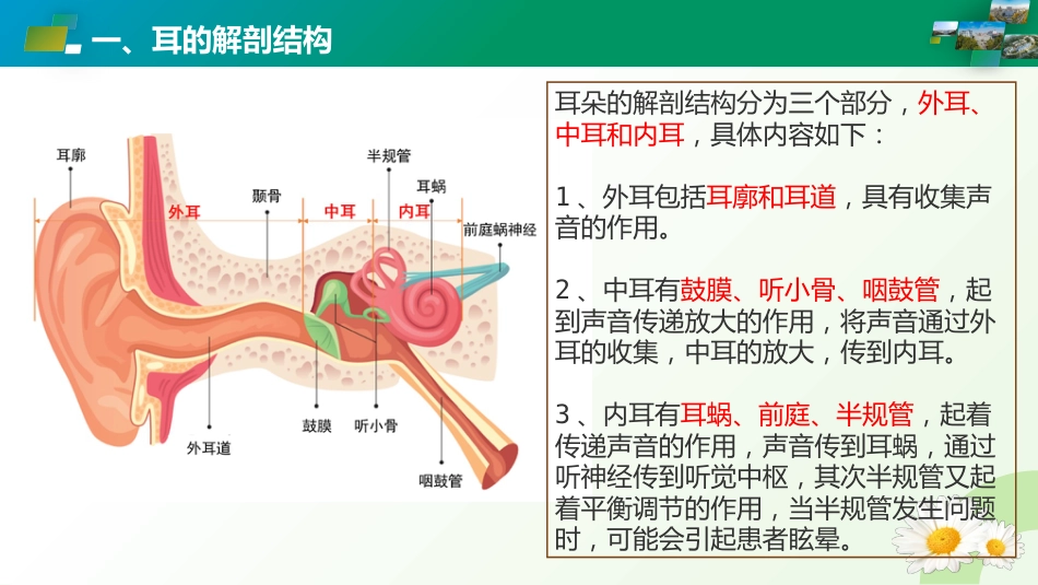 耳和乳突疾病ICD编码_第3页