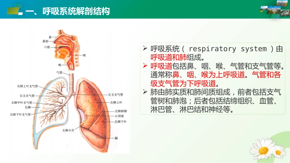 呼吸系统疾病ICD编码_第3页