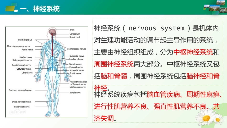 神经系统疾病ICD编码_第3页