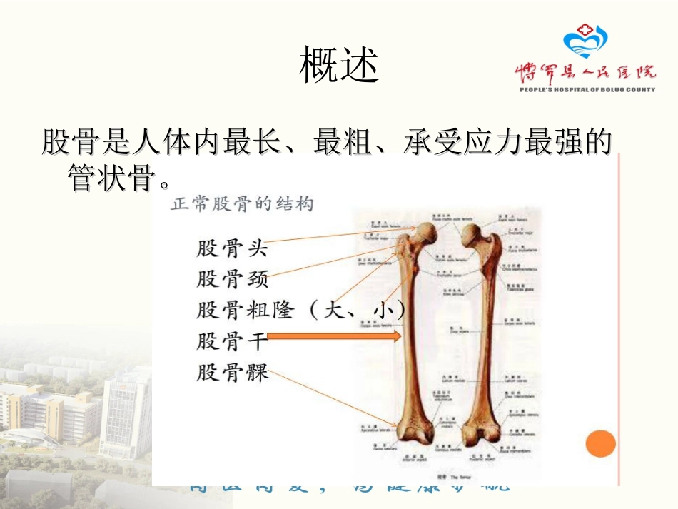 股骨骨折的健康宣教_第2页