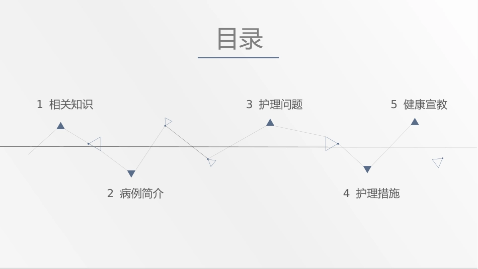 肾肿瘤护理查房(1)_第2页