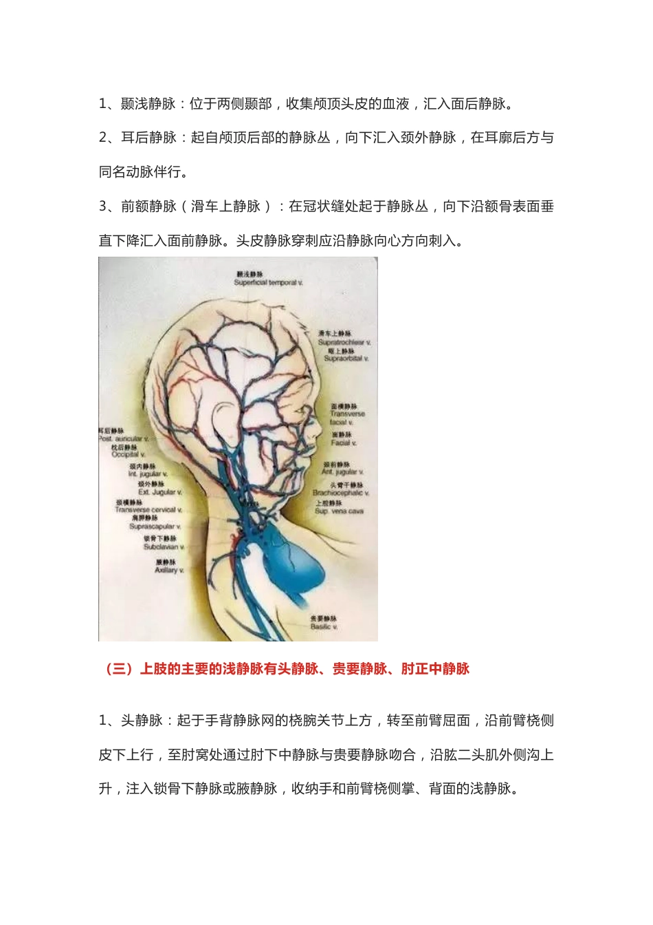 小儿静脉穿刺技巧_第2页