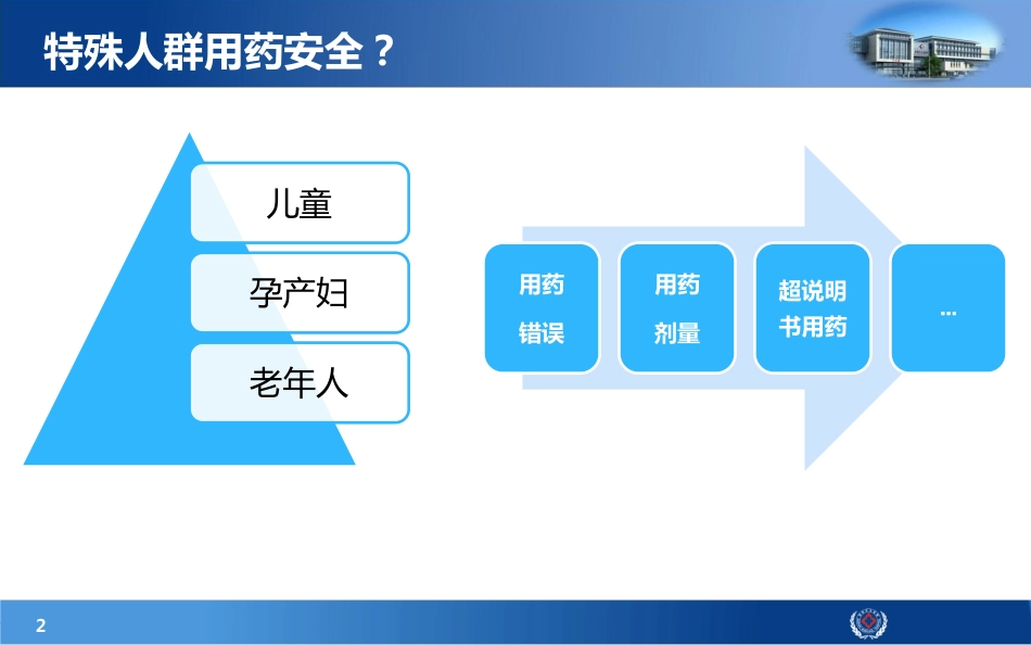 特殊人群用药安全体系构建初探.pdf_第2页