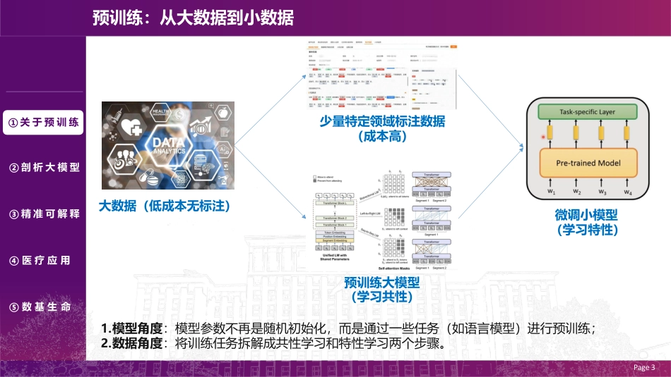 医疗预训练大模型_第3页