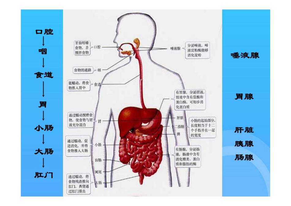 反流性食管炎PPT_第2页