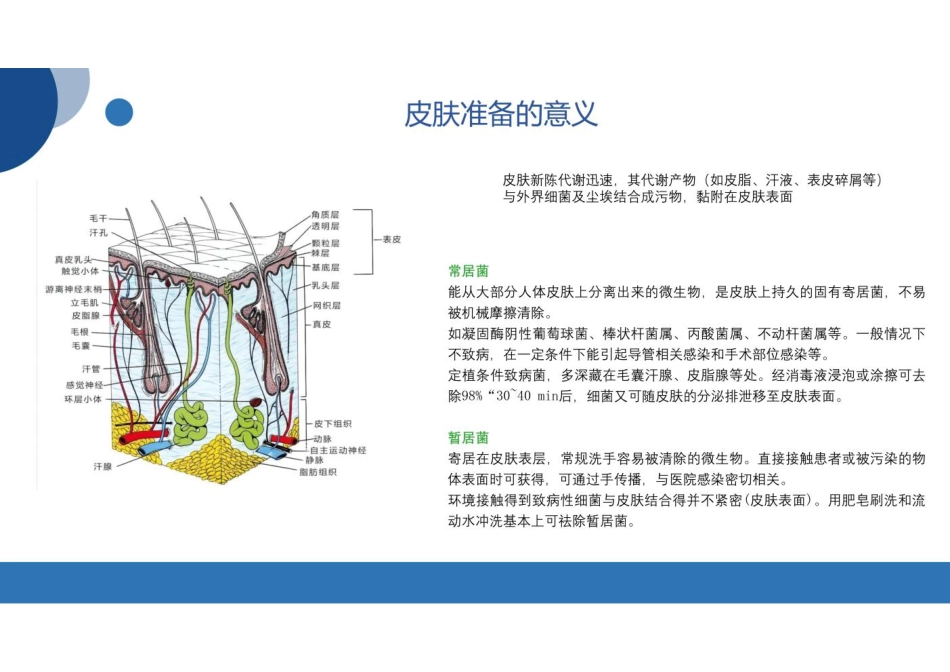 感术培训皮肤准备_第3页