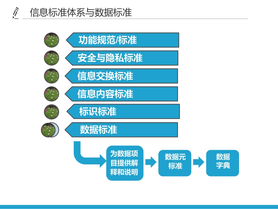 健康数据标准化与医学术语_第3页