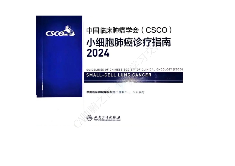 _中国临床肿瘤学会(CSCO)小细胞肺癌诊疗指南2024_第1页