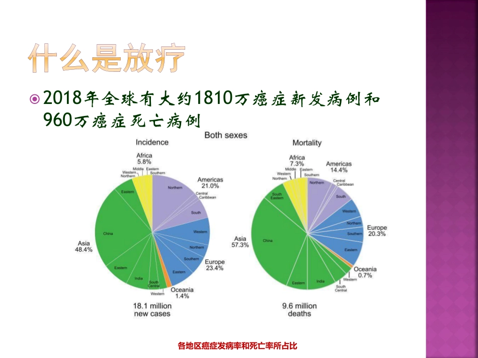 肿瘤放射治疗信息系统建设.pdf_第2页