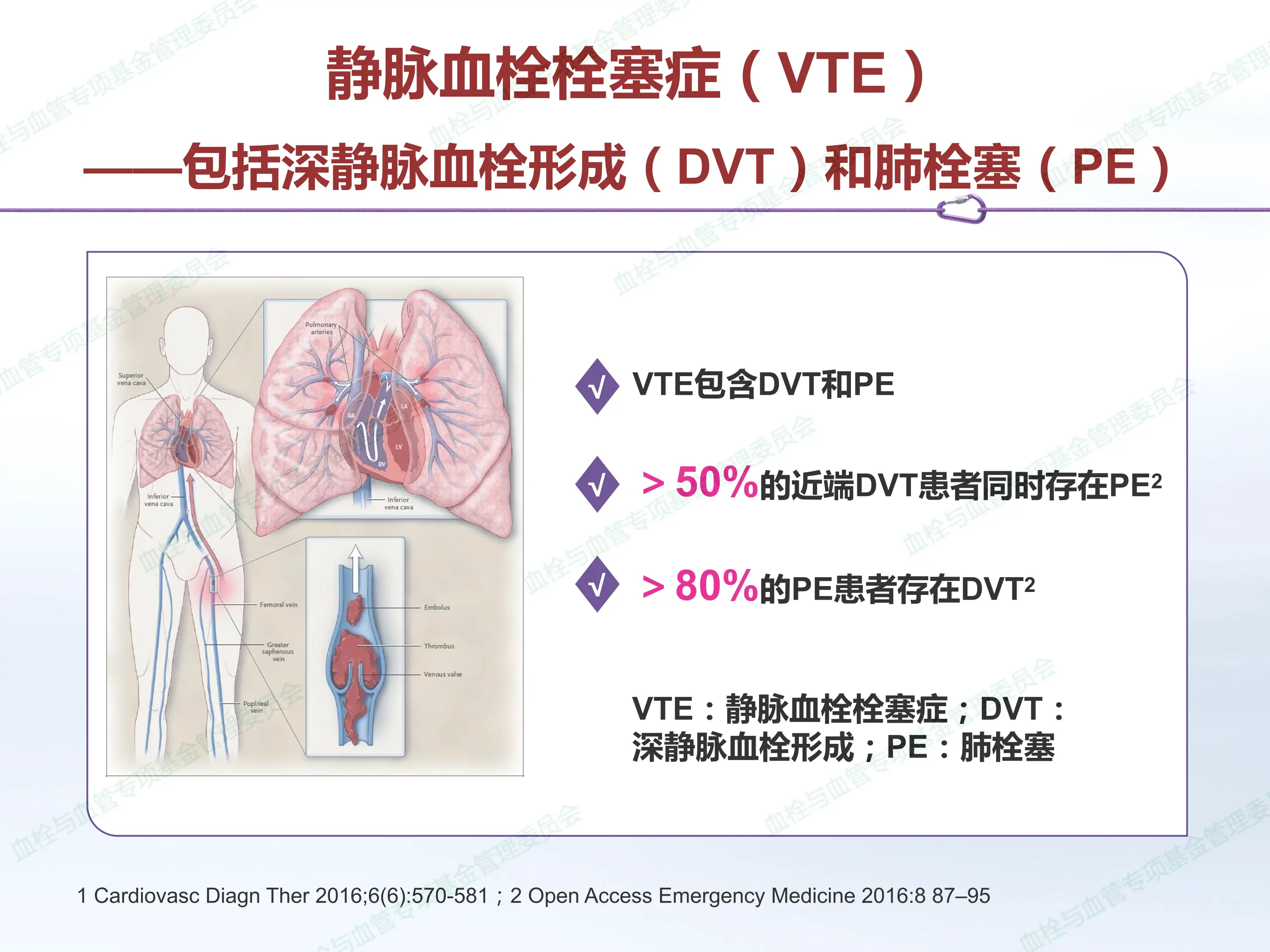 我国肺血栓栓塞症诊疗调研报告_第2页