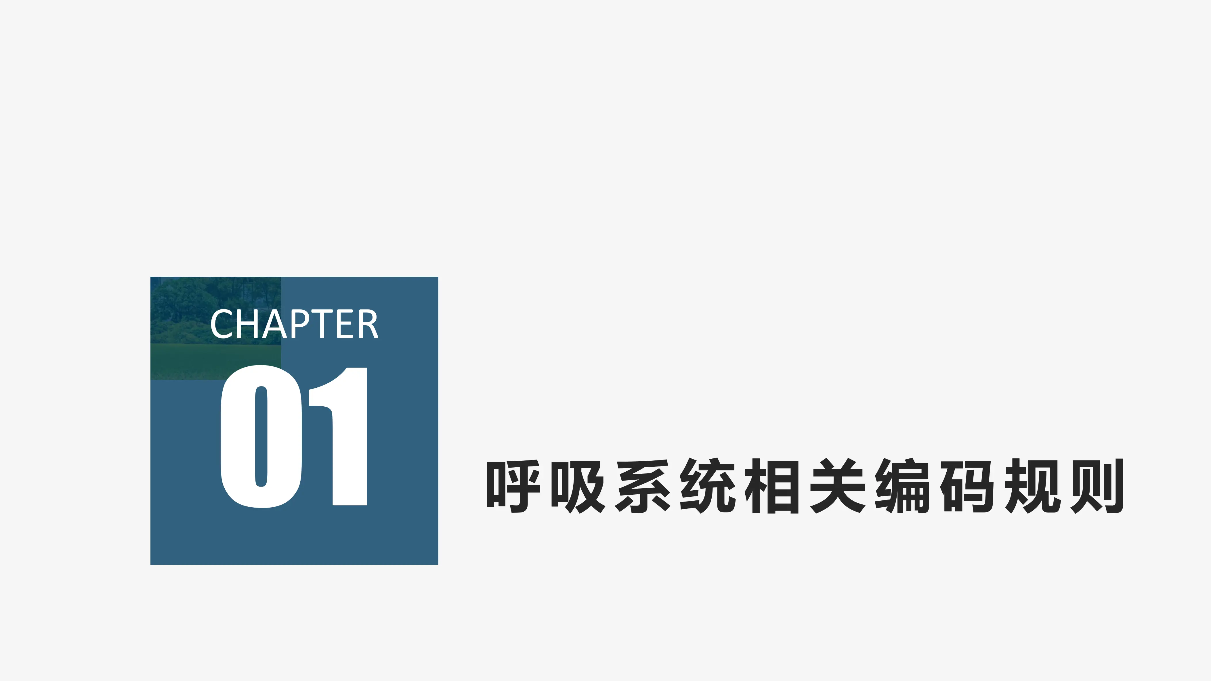 儿科、呼吸、骨科、老年病专业疑难疾病编码简析_第3页