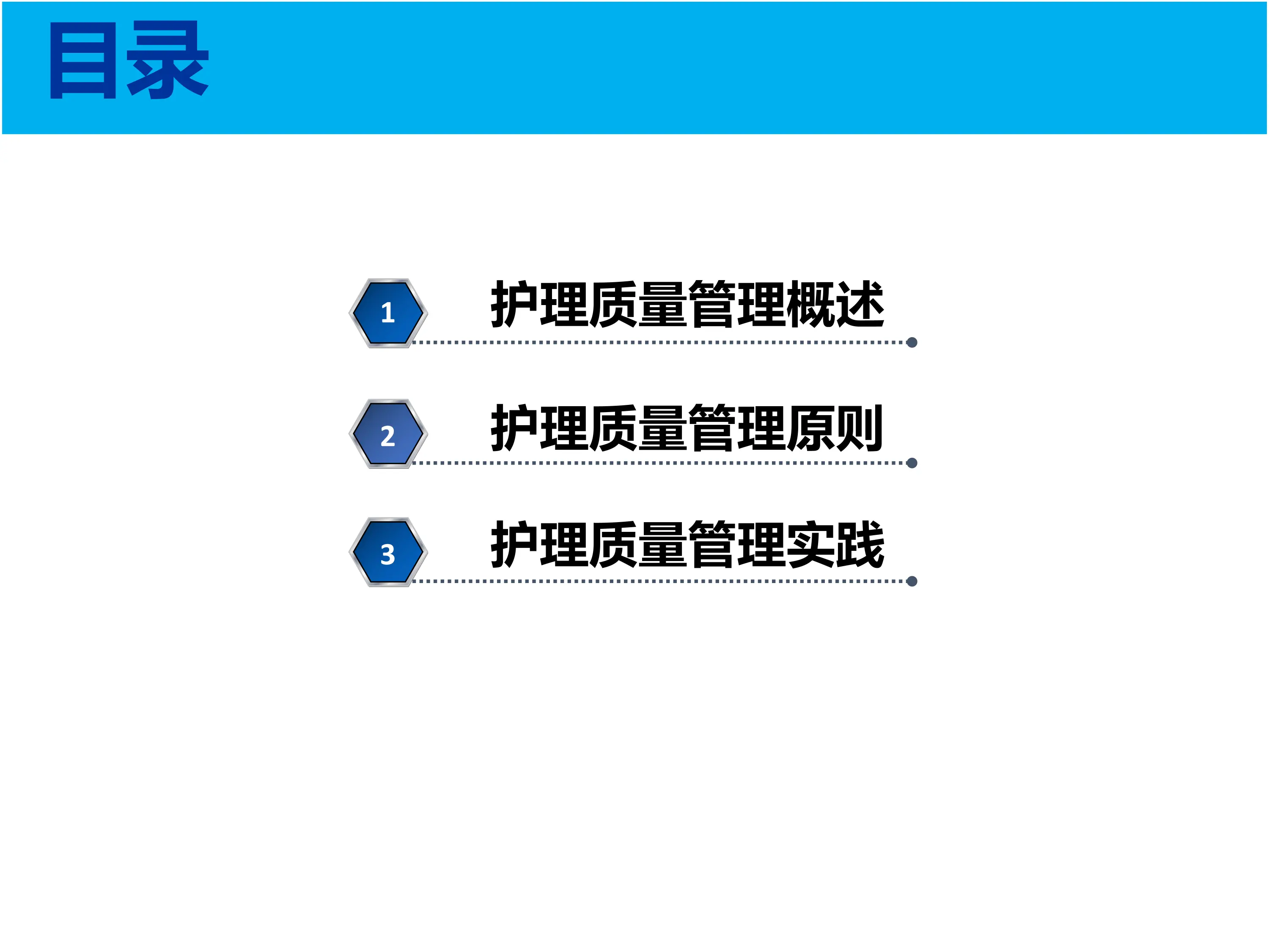 护理质量管理与持续改进.pdf_第2页