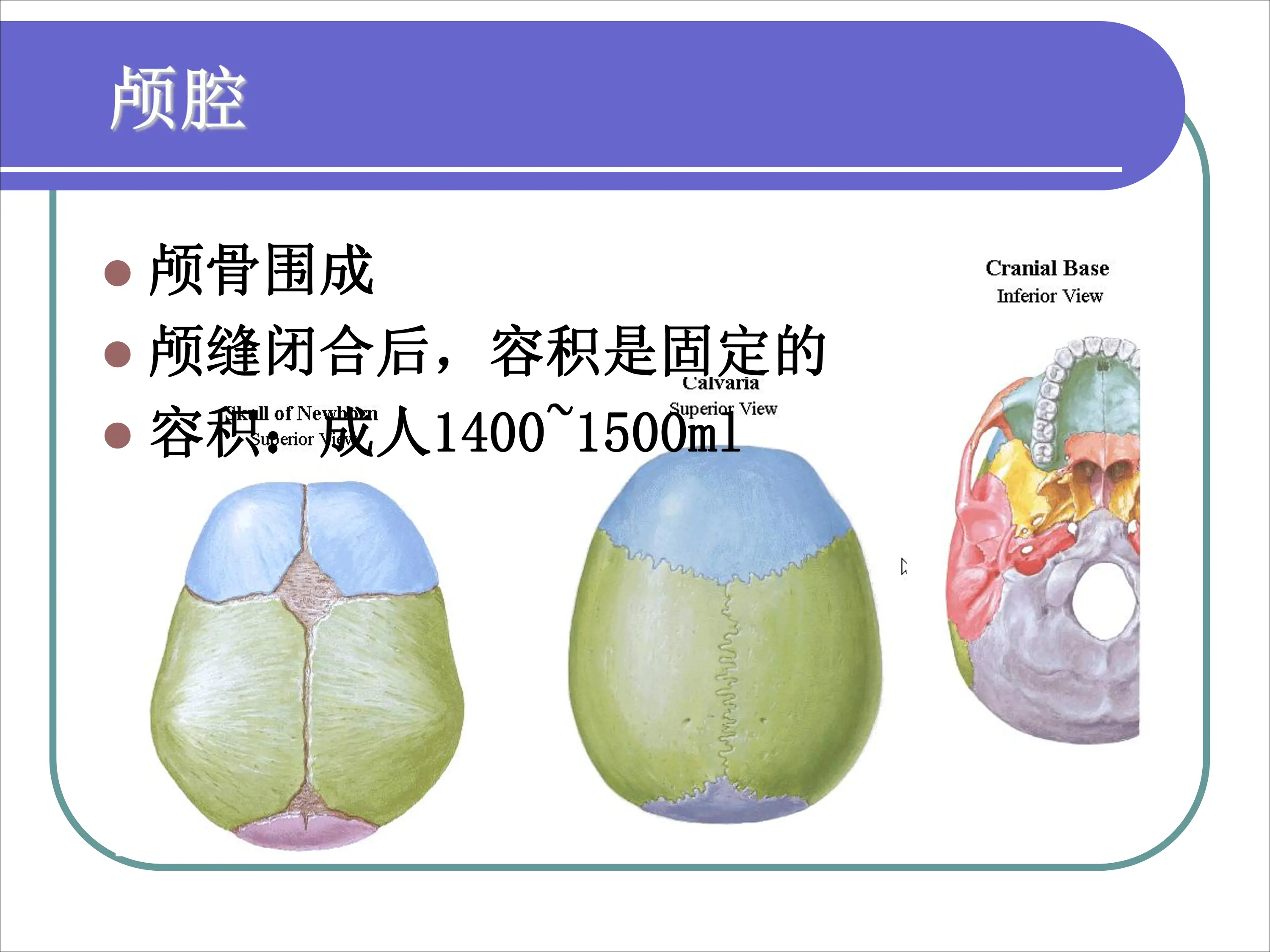 颅脑疾病评估及护理.pdf_第3页