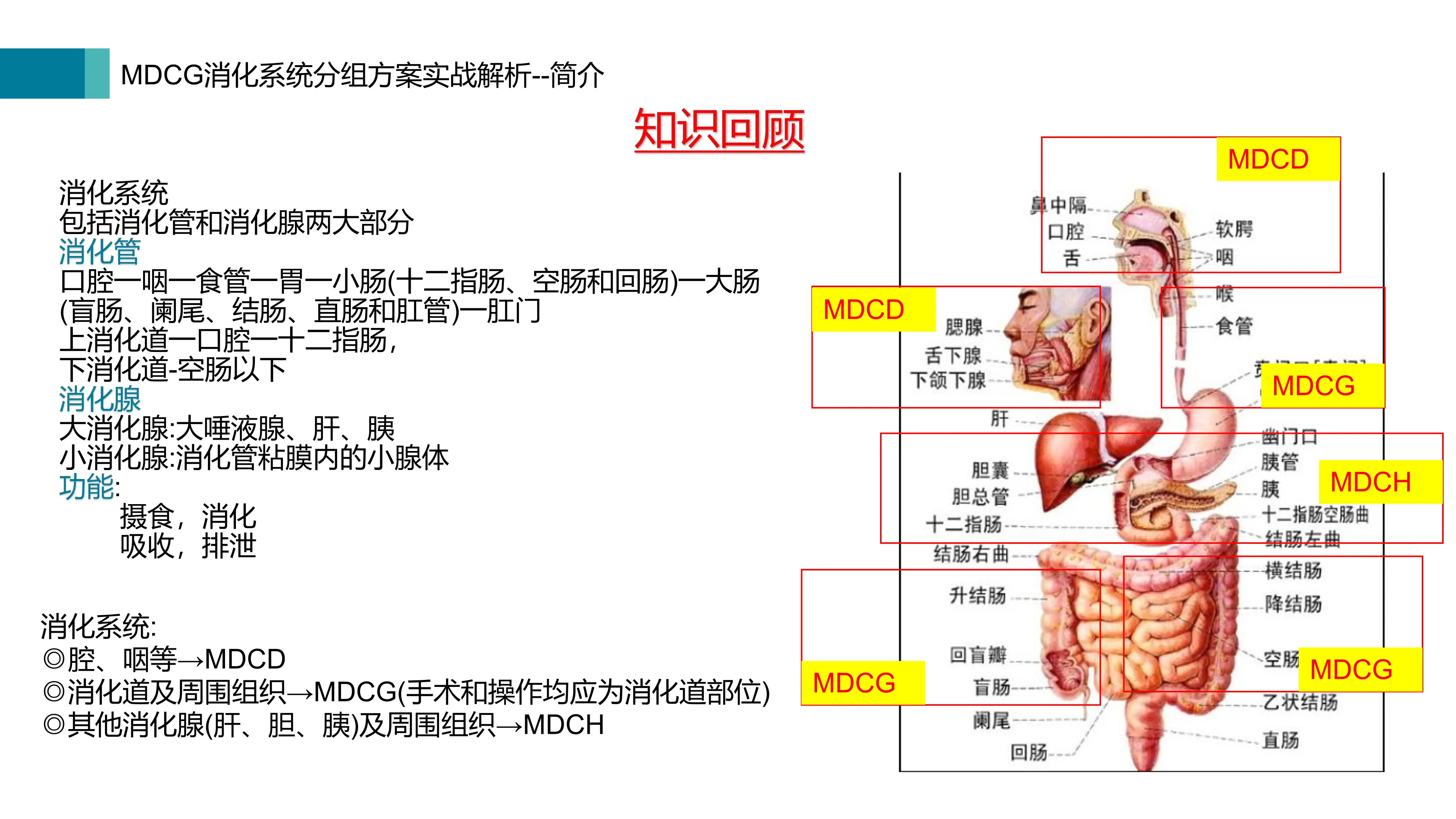 消化系统疾病编码及分组方案解析_第3页