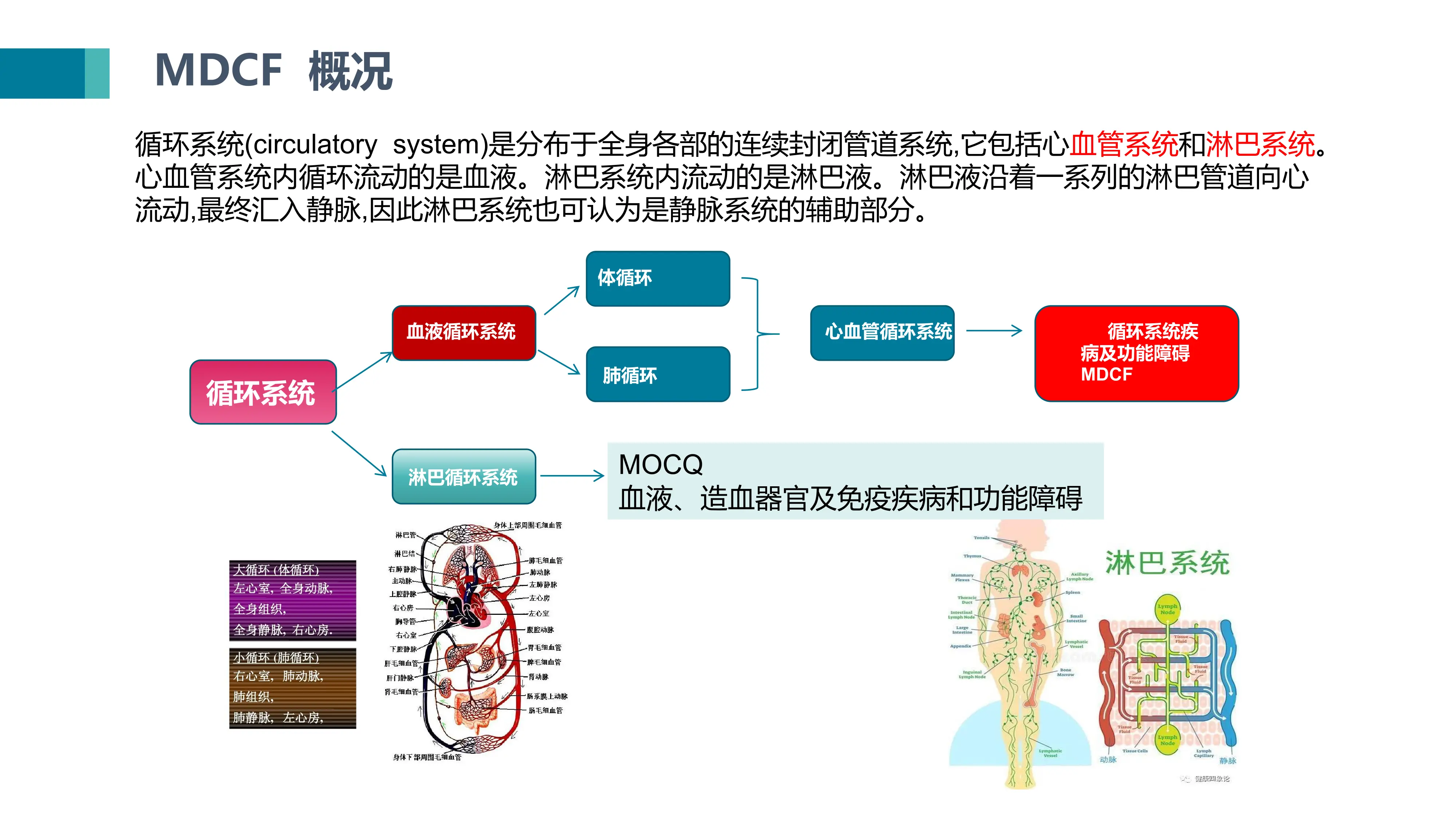 循环系统疾病编码及分组方案解析_第3页