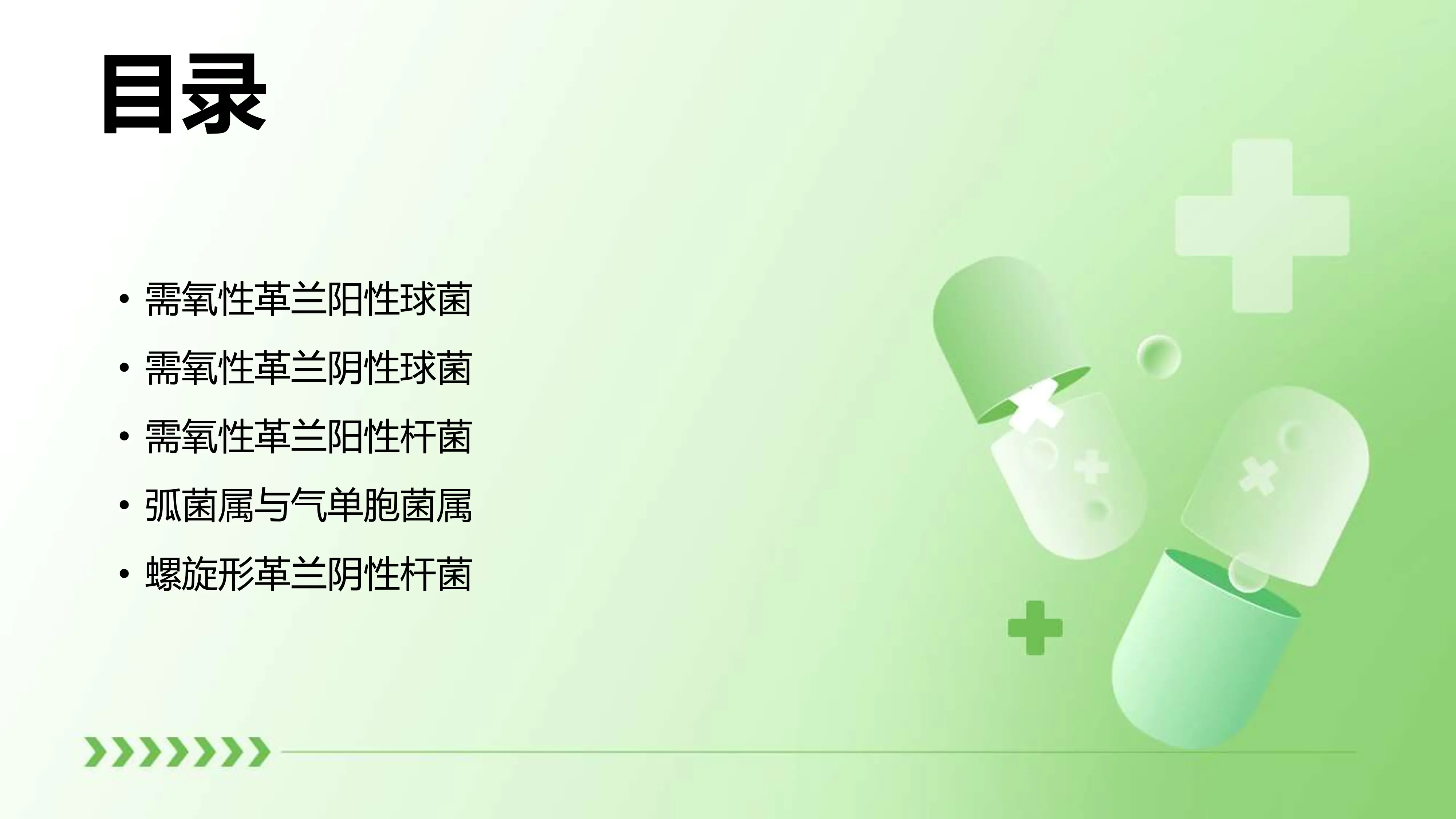 常见细菌分类归纳总结_第2页