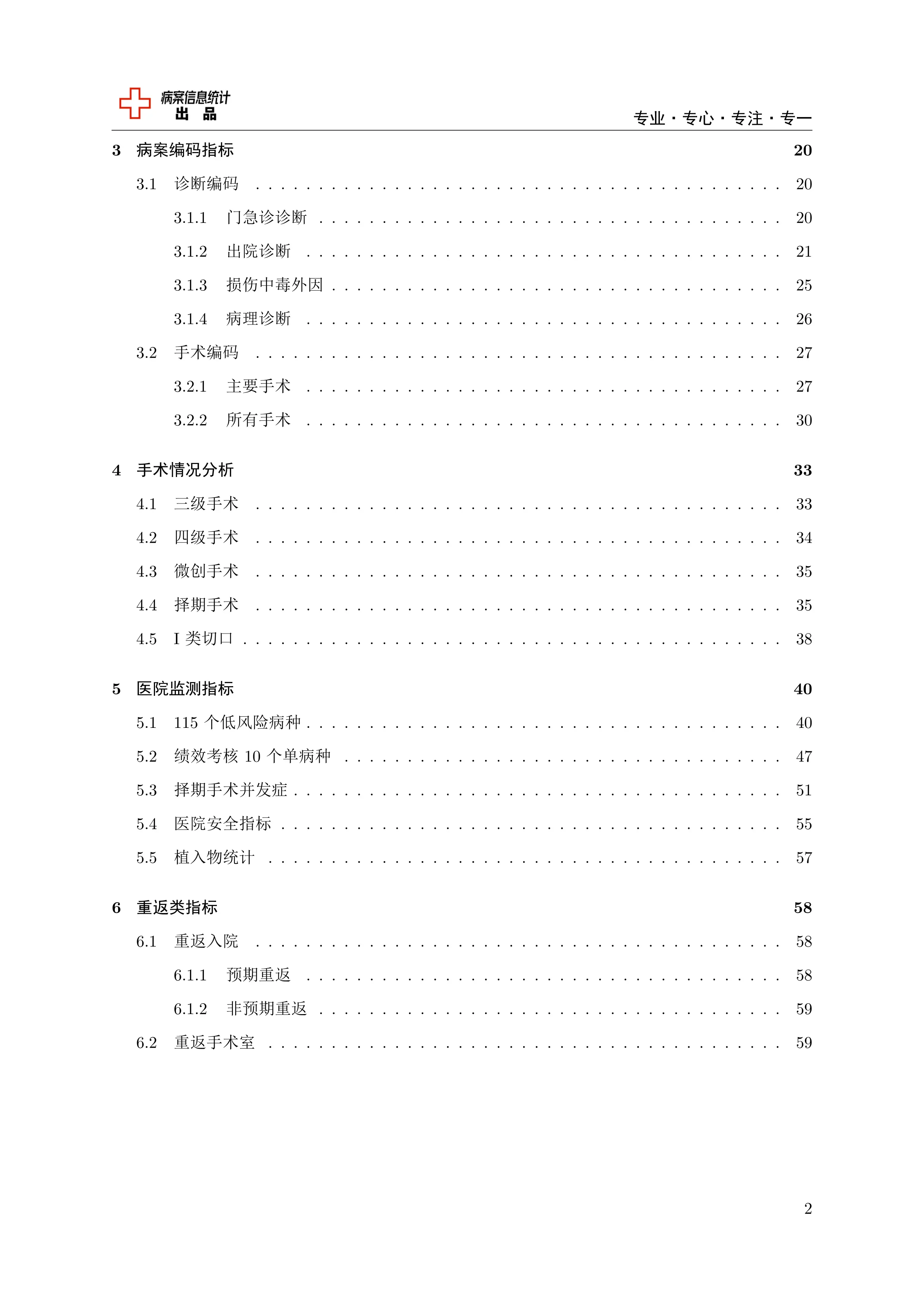 2025最新实用模板：病案首页数据分析报告 _第2页