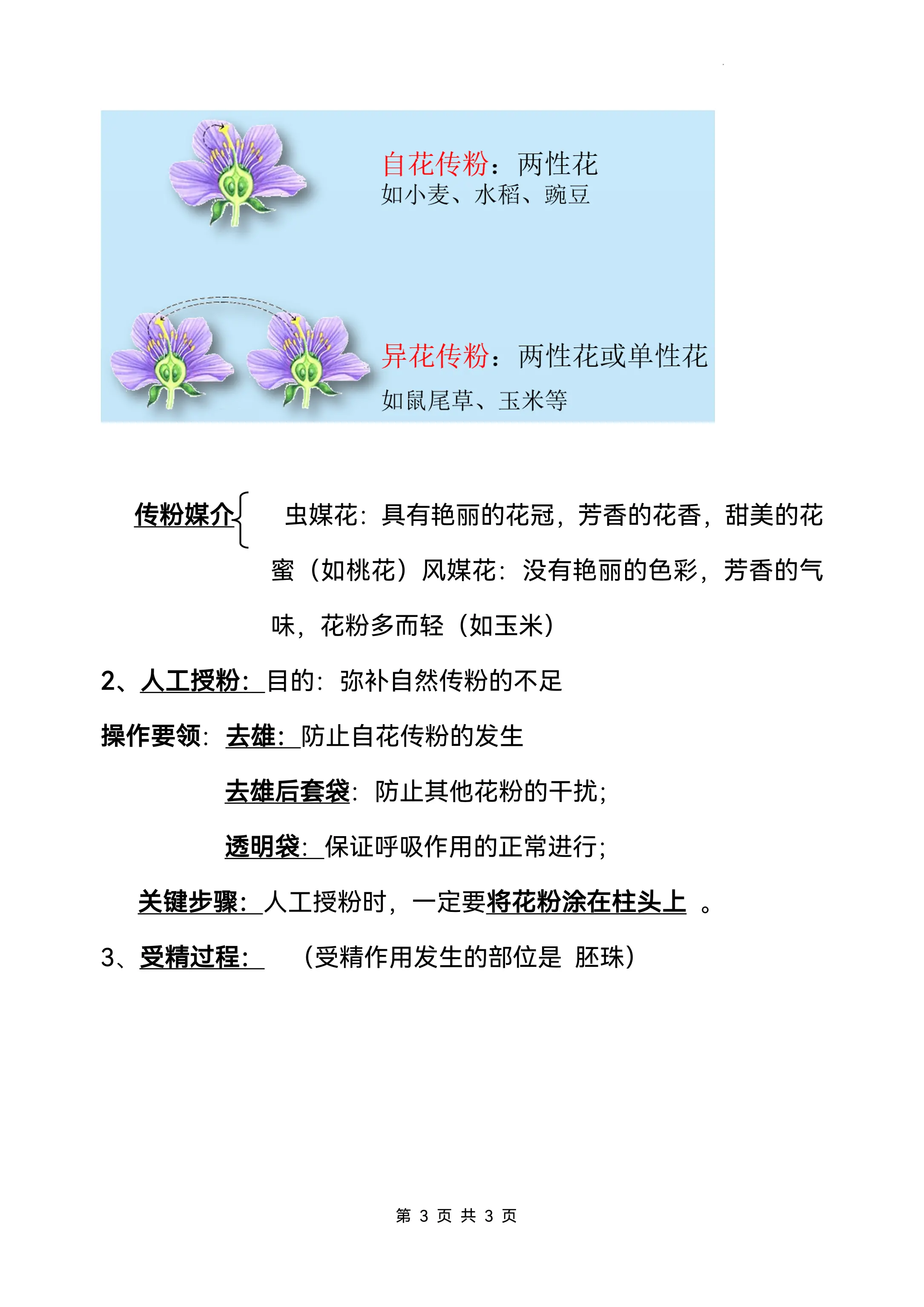 济南版八年级上册生物知识点 带图详细背诵版_第3页