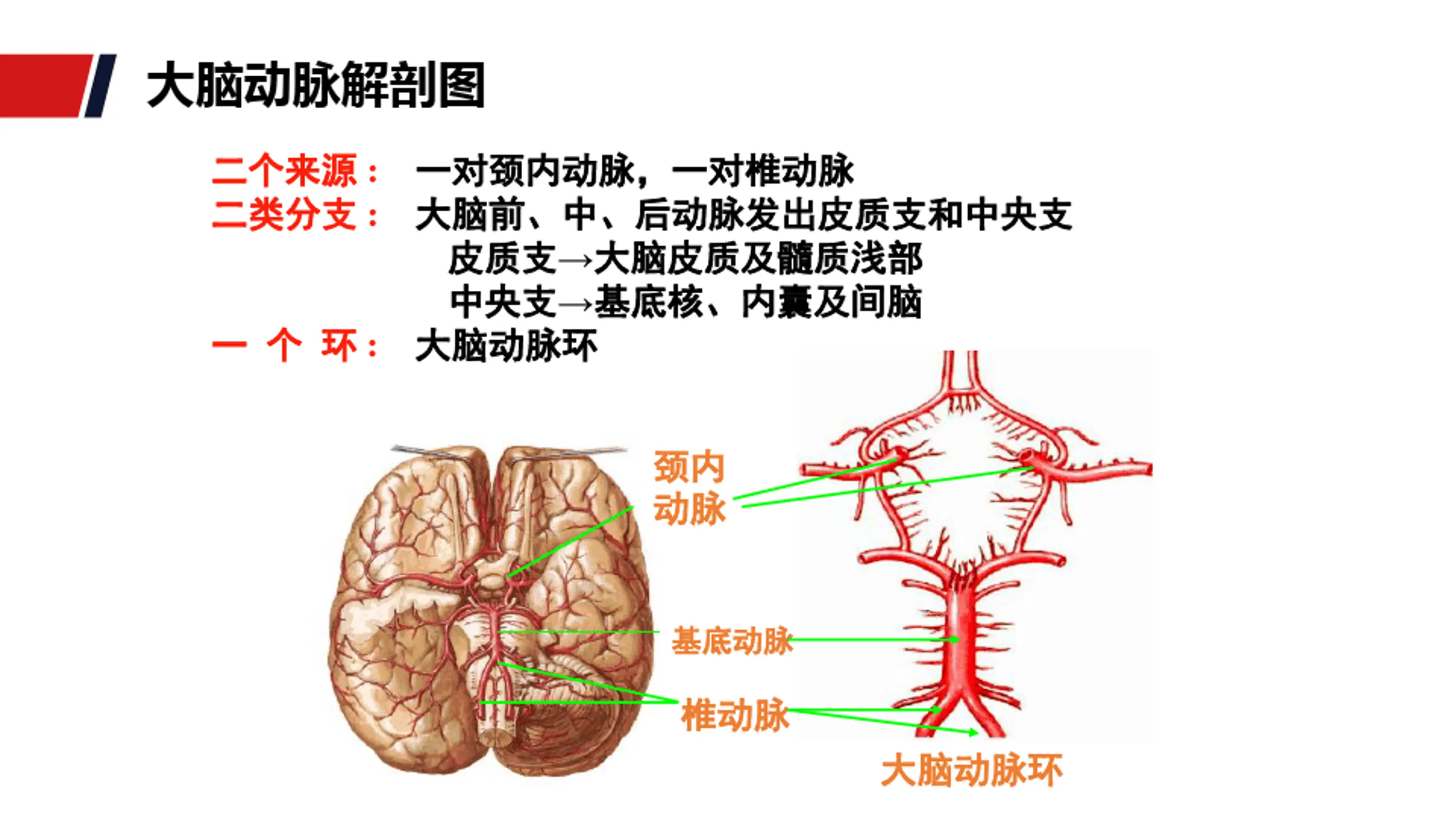 病案首页脑梗死主要诊断选择与编码_第3页