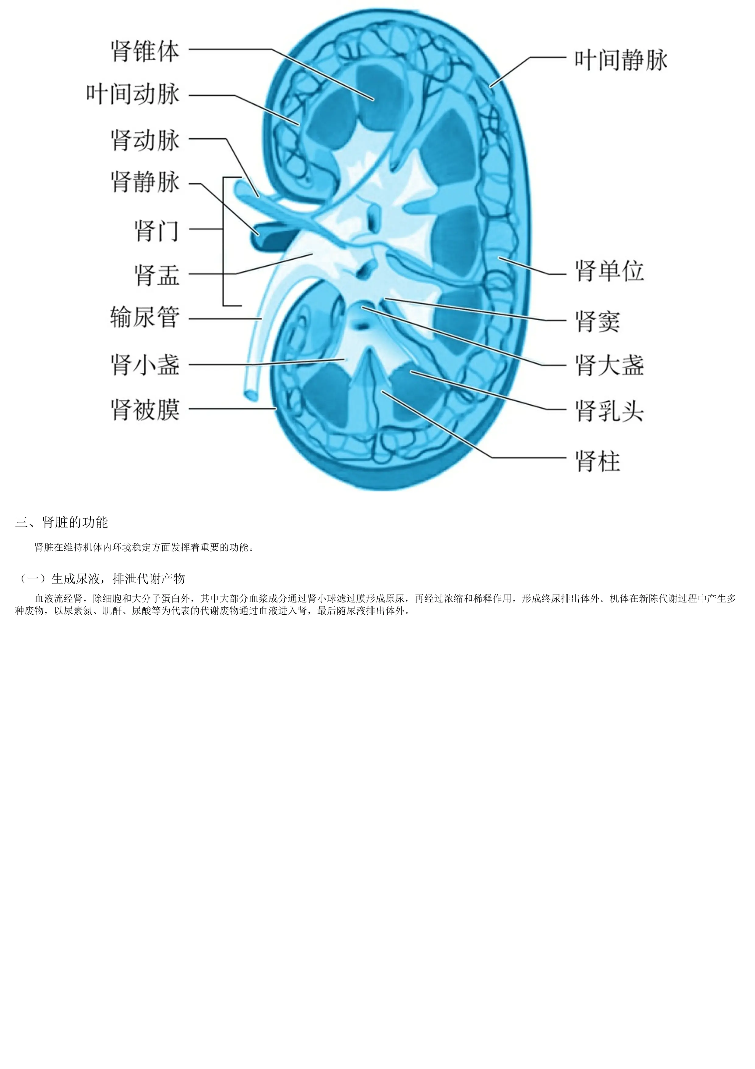 血液透析病友自我管理口袋书_第3页