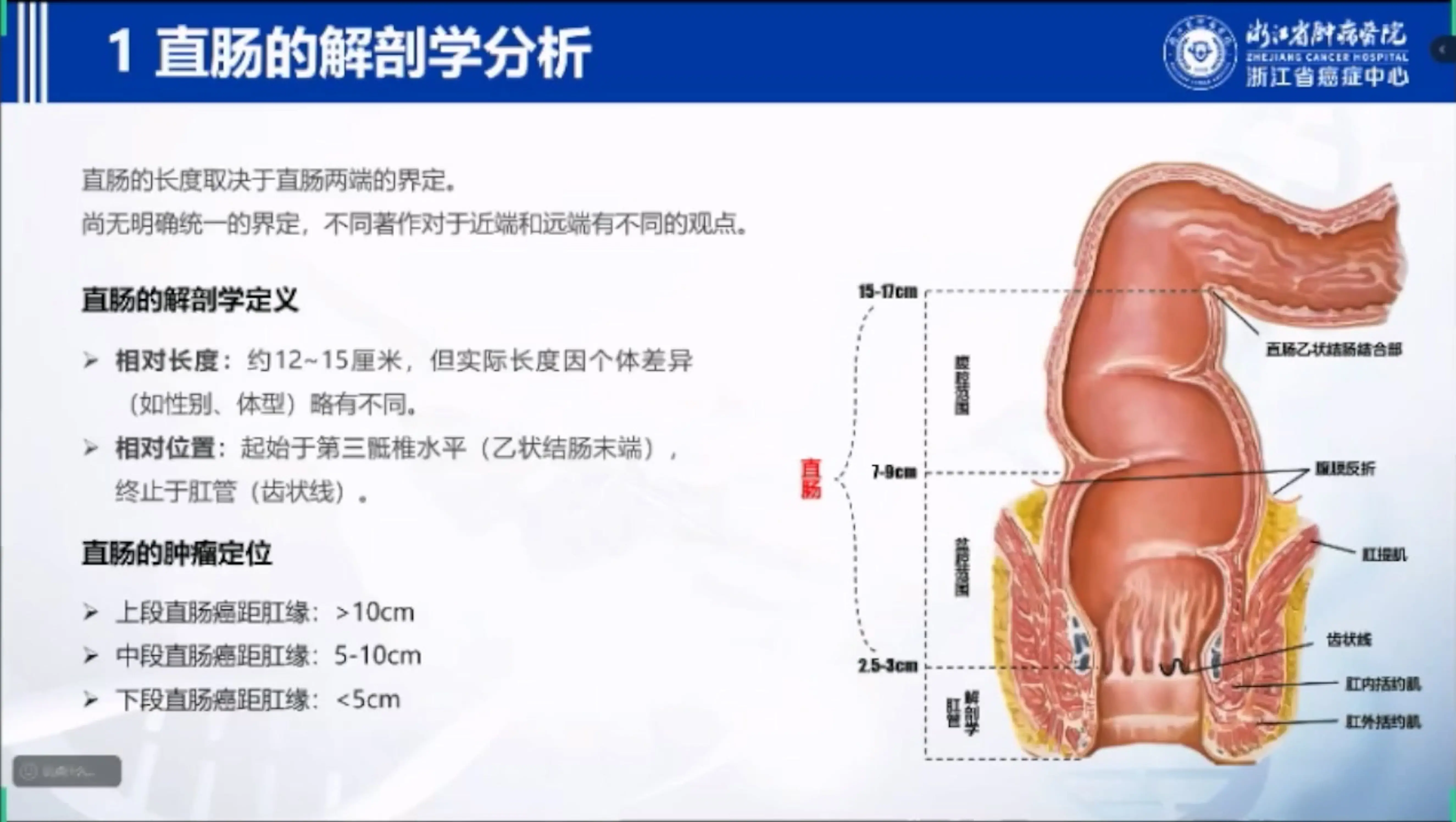 直肠癌根治术编码分析_第3页