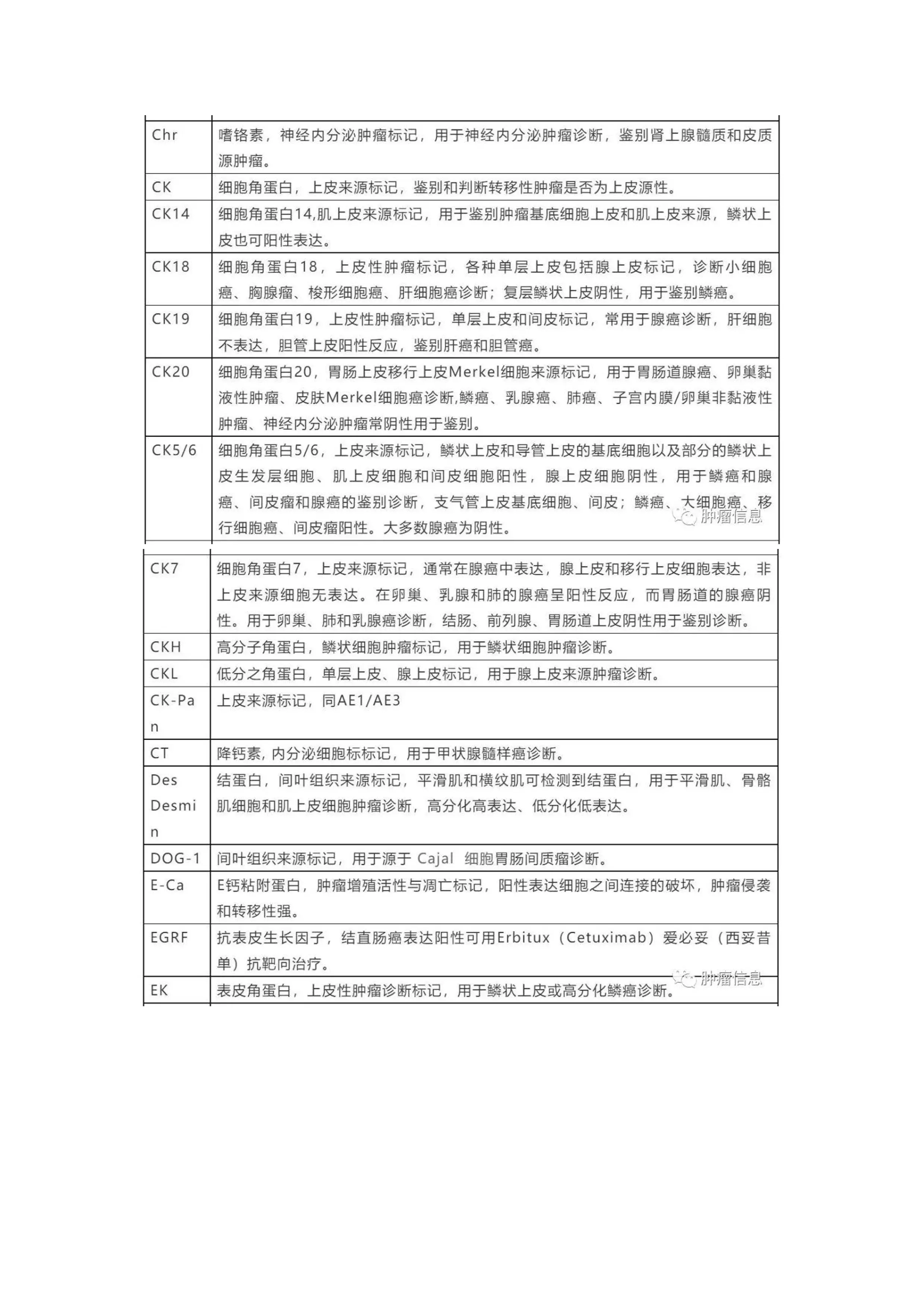 常用免疫组化标志物临床意义一览表.pdf_第3页