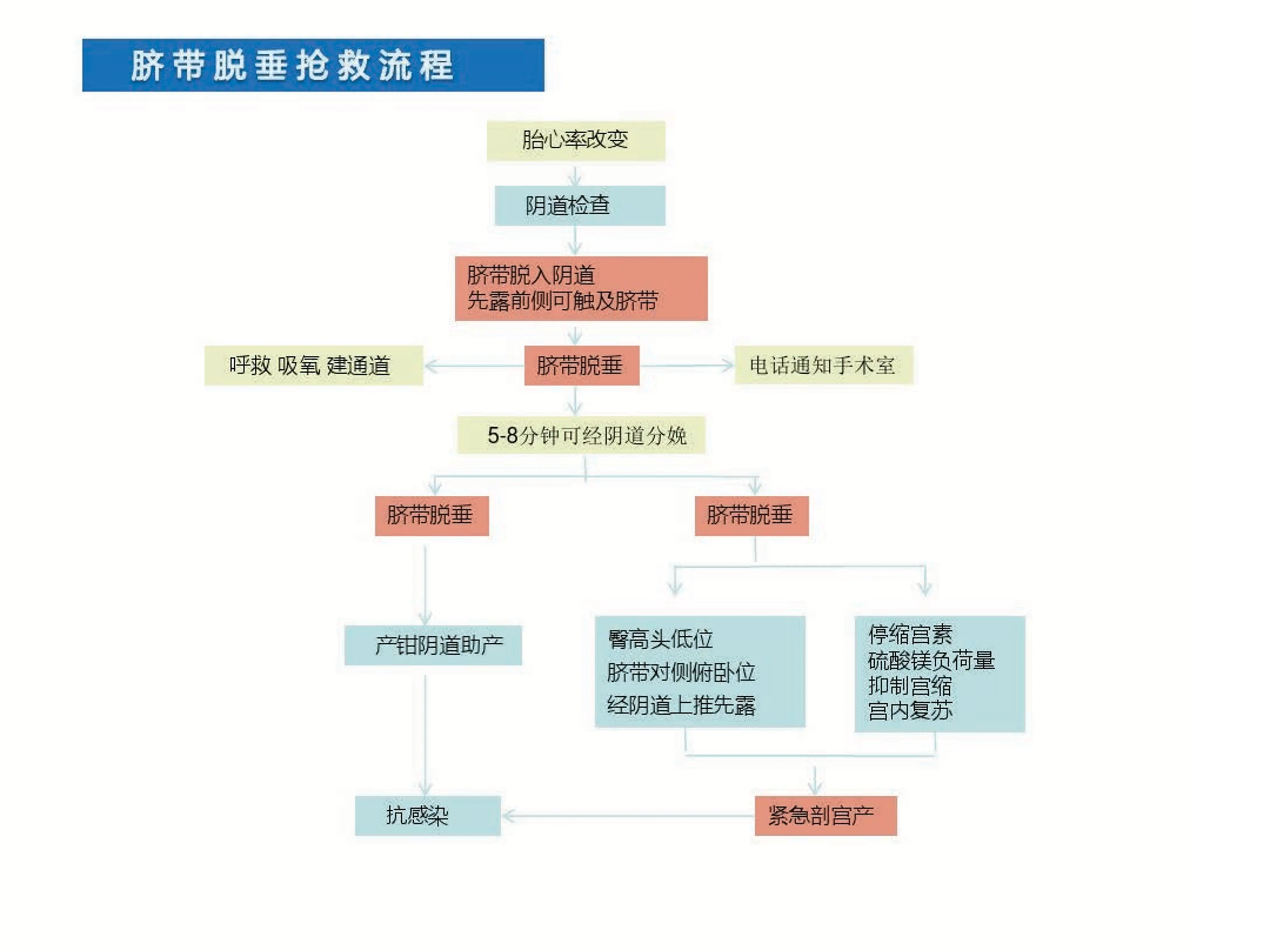 产科急危重症急救流程.pdf_第3页
