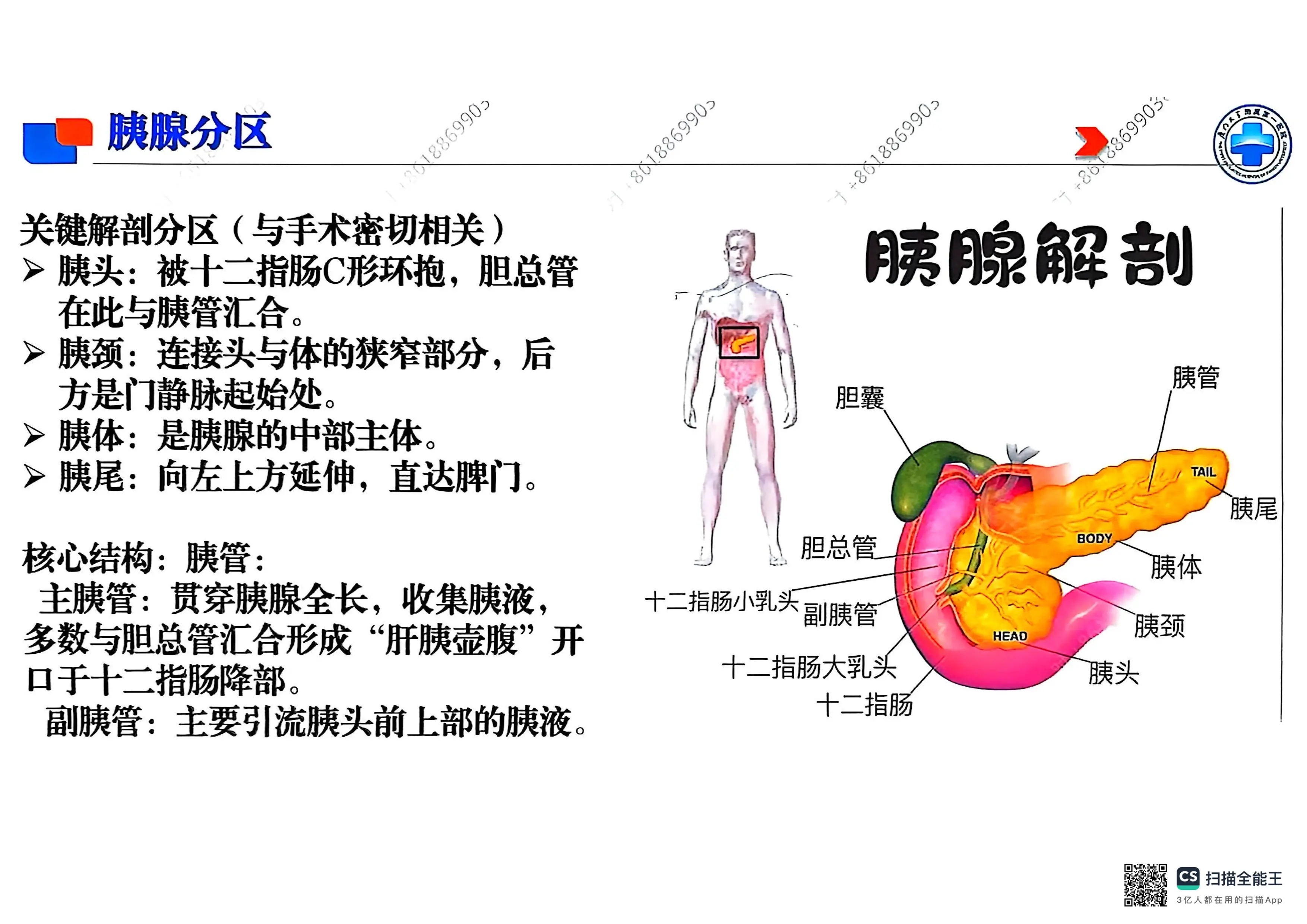胰腺假性囊肿手术编码.pdf_第3页